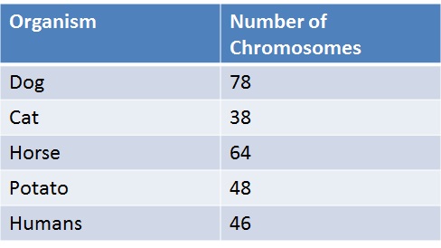 chromosomes organism organisms cell proprofs mitosis